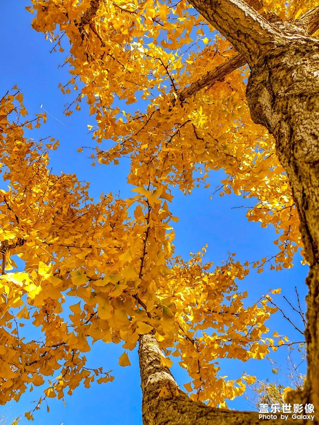 《每周星鮮事》第47期: 星粉體驗(yàn)團(tuán) 等你來(lái)參與