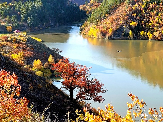 《每周星鮮事》第47期: 星粉體驗(yàn)團(tuán) 等你來(lái)參與