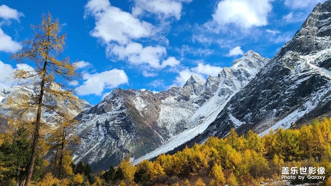 《每周星鮮事》第47期: 星粉體驗(yàn)團(tuán) 等你來(lái)參與