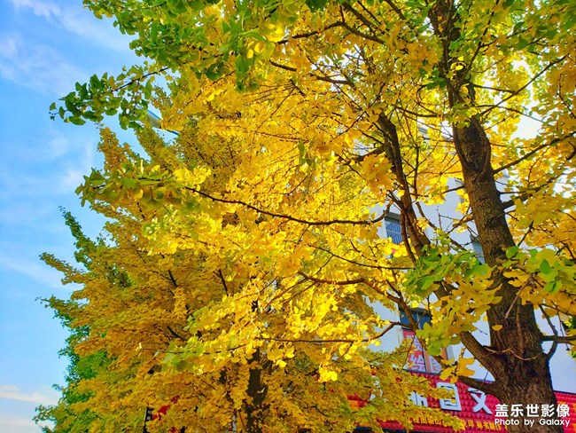 《每周星鮮事》第47期: 星粉體驗(yàn)團(tuán) 等你來(lái)參與