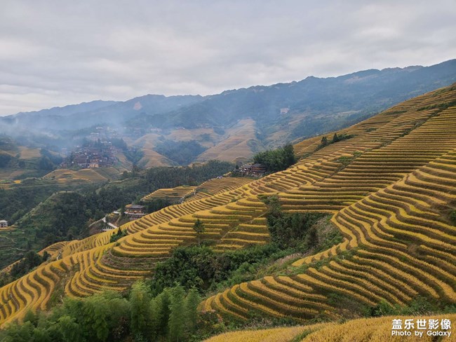 《每周星鮮事》第47期: 星粉體驗(yàn)團(tuán) 等你來(lái)參與