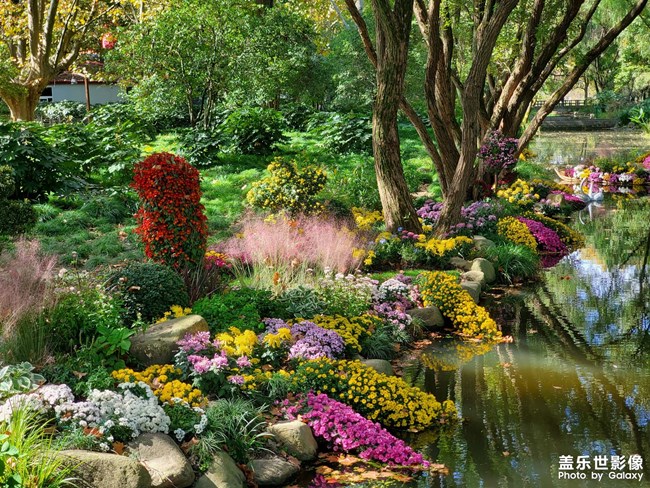 《每周星鮮事》第47期: 星粉體驗(yàn)團(tuán) 等你來(lái)參與