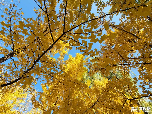 《每周星鮮事》第47期: 星粉體驗(yàn)團(tuán) 等你來(lái)參與