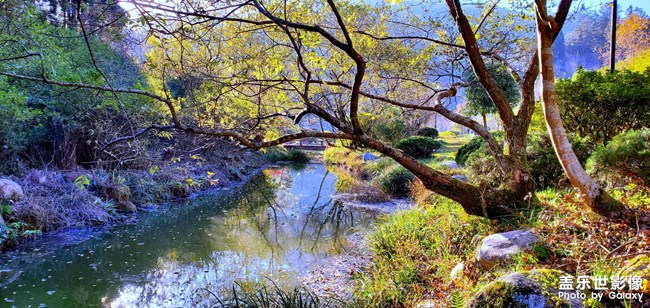 《每周星鮮事》 第49期