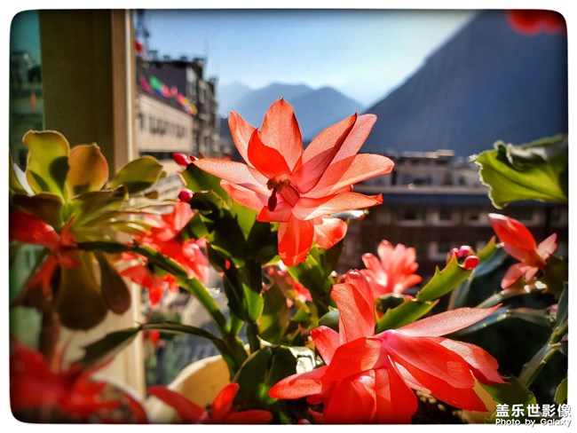 《每周星鮮事》 第49期