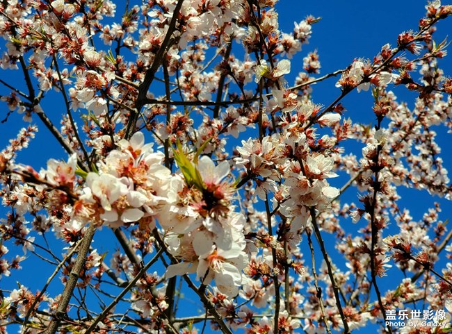 《每周星鮮事》 第49期