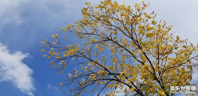 《每周星鮮事》 第49期