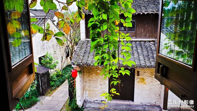 《每周星鮮事》 第49期