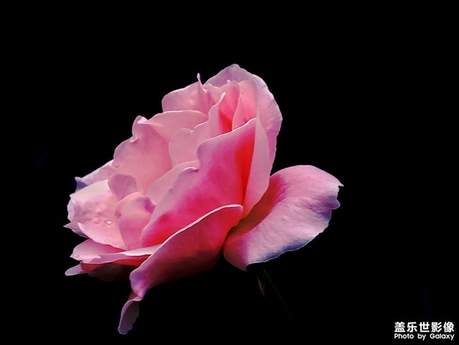 《每周星鮮事》 第49期