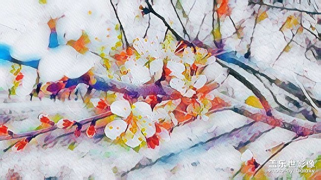 《每周星鮮事》 第49期