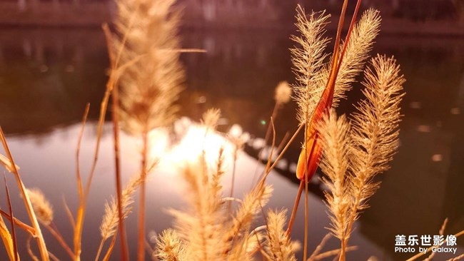 《每周星鮮事》 第49期