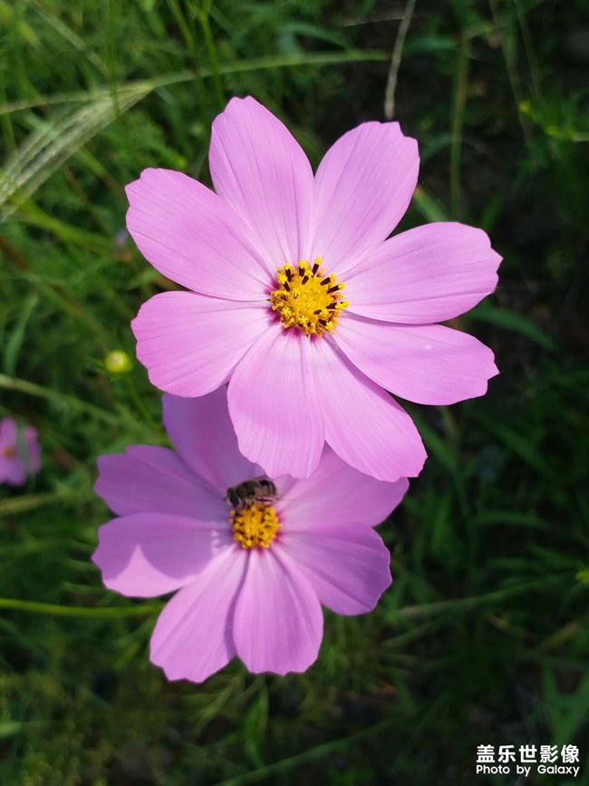 《每周星鮮事》 第49期