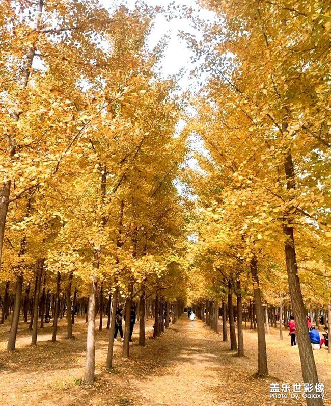 《每周星鮮事》 第49期