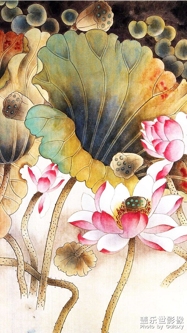 高清手機(jī)壁紙來(lái)一波