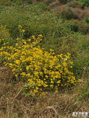 難忘2020，note10+美好瞬間