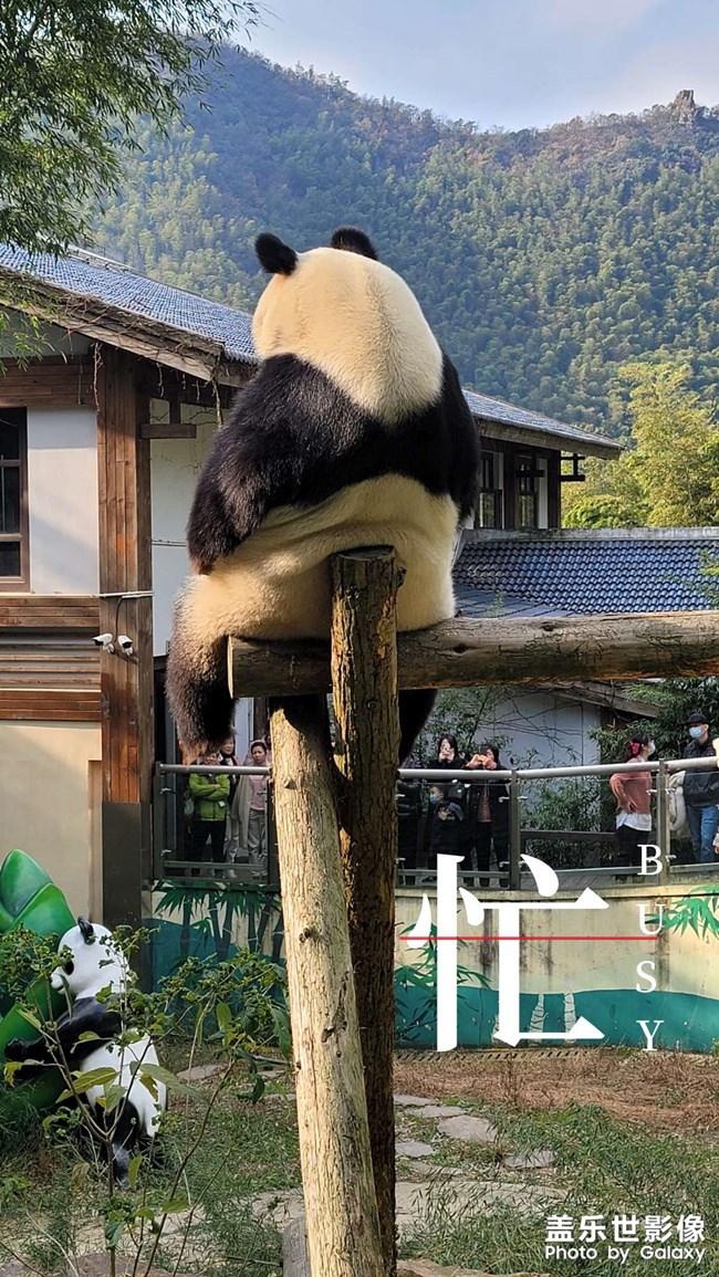 《每周星鮮事》 第52期: