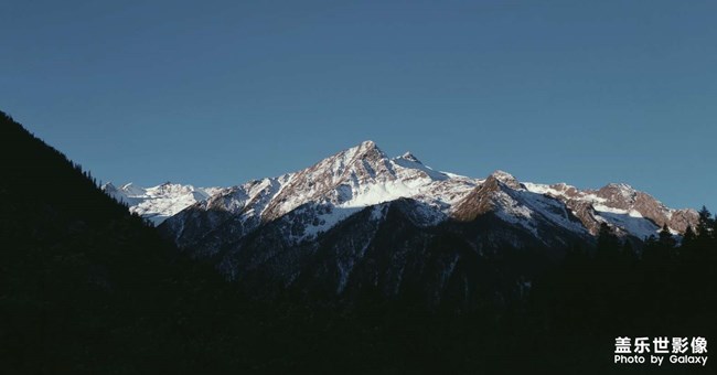 《每周星鮮事》 第52期: