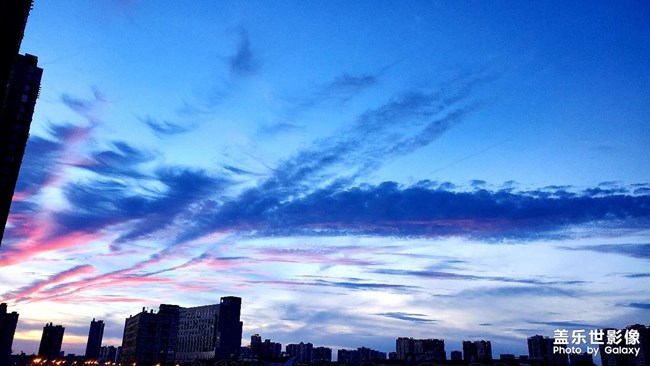 《每周星鮮事》 第52期: