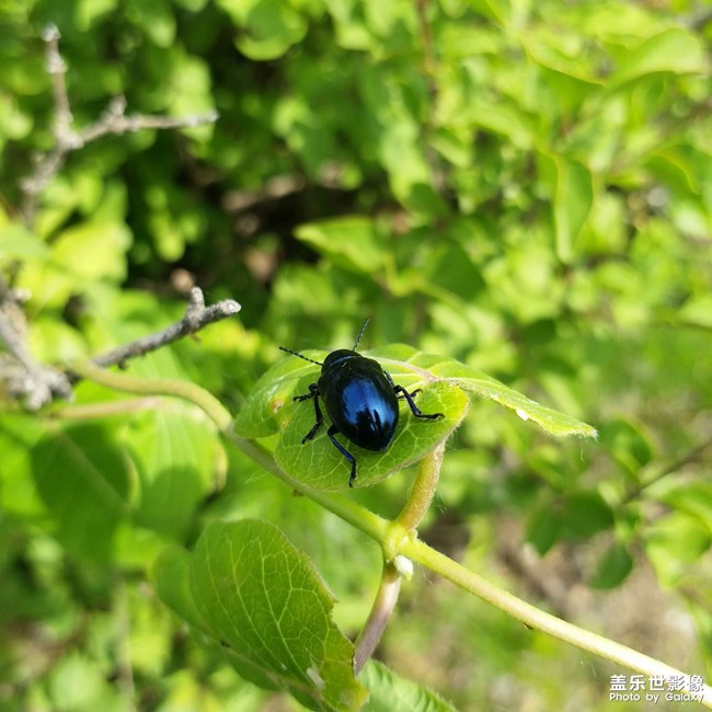 《每周星鮮事》 第54期