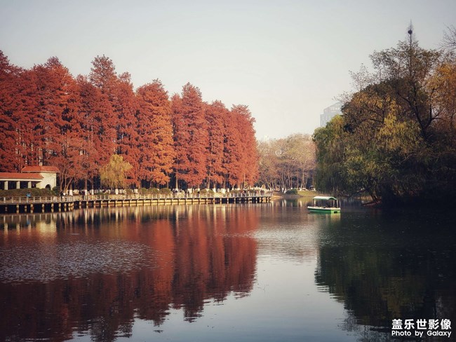 《每周星鮮事》 第54期