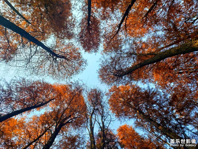 《每周星鮮事》 第54期