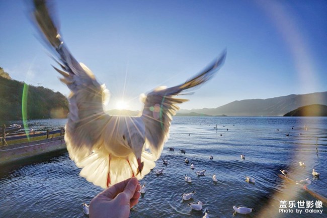 小魚(yú)干??！