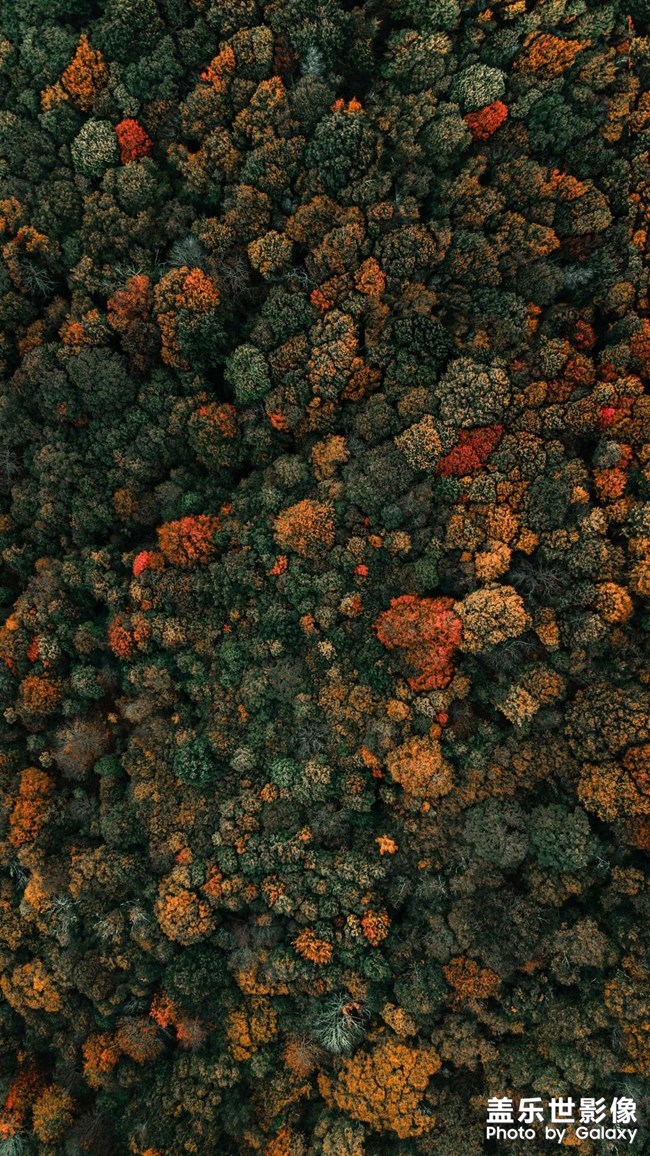 在分享一些壁紙