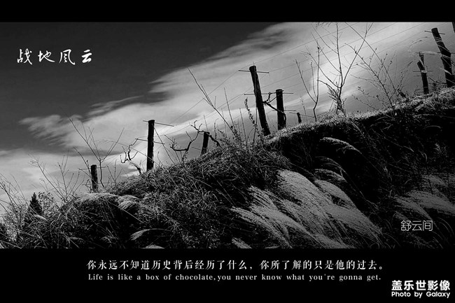 戰(zhàn)地風(fēng)云