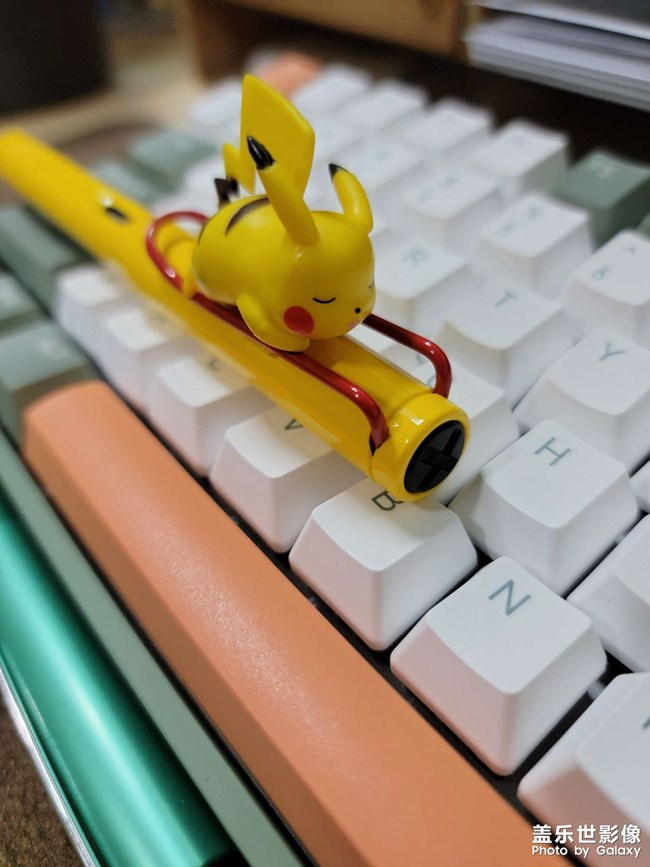 擼貓一時爽，一直擼貓一直爽