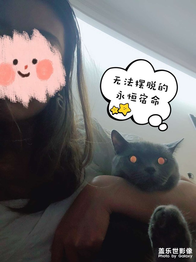 貓貓知道什么是丑照嘛??