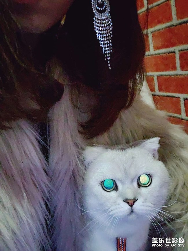 貓貓知道什么是丑照嘛??