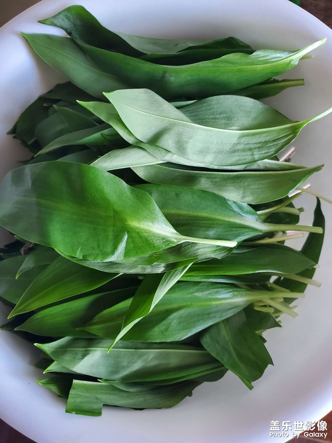 剛薅完資本主義羊毛大家猜猜這是啥