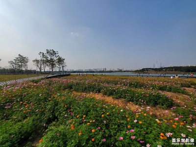 【新春星色彩】+初春報(bào)道