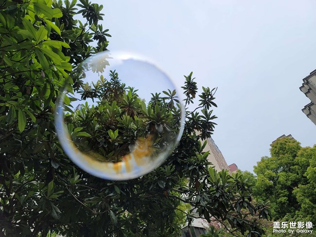 日簽|理想的價值就在于實現它不容易