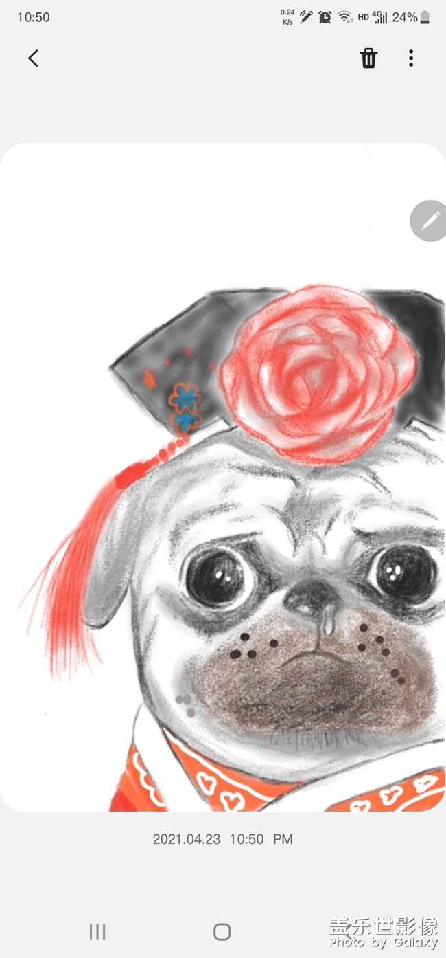 巴扎嘿，spen畫