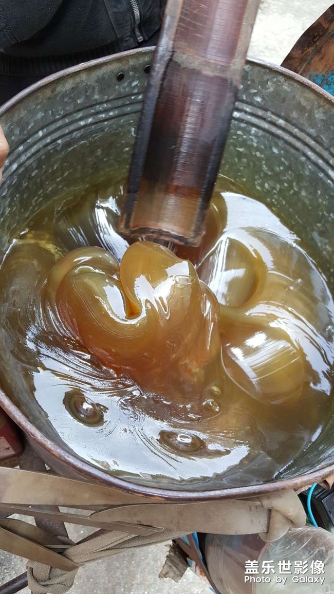 麥芽糖