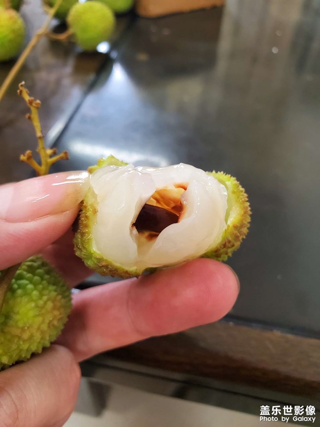 荔枝時(shí)節(jié)