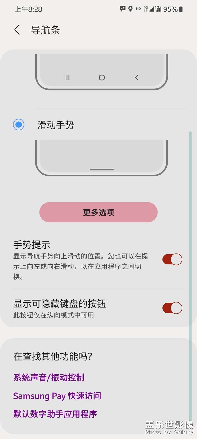 小白條呢？