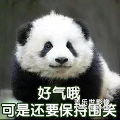 動(dòng)態(tài)表情包分享
