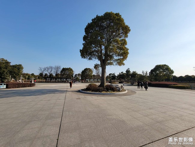 5問蓋樂世社區(qū)經(jīng)理（S21板塊）