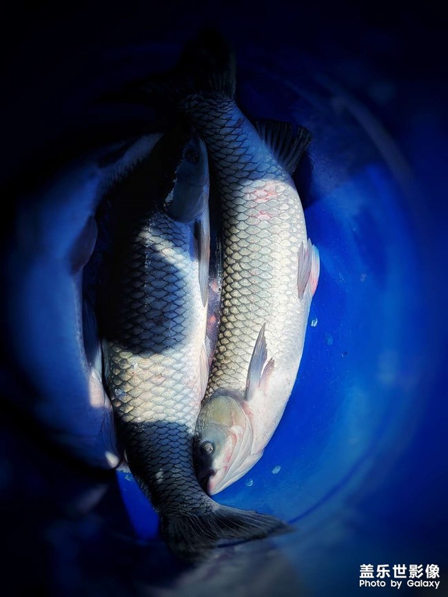 偶然拍了個(gè)太極圖