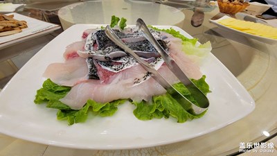 【星動一夏】+花鰱魚頭火鍋