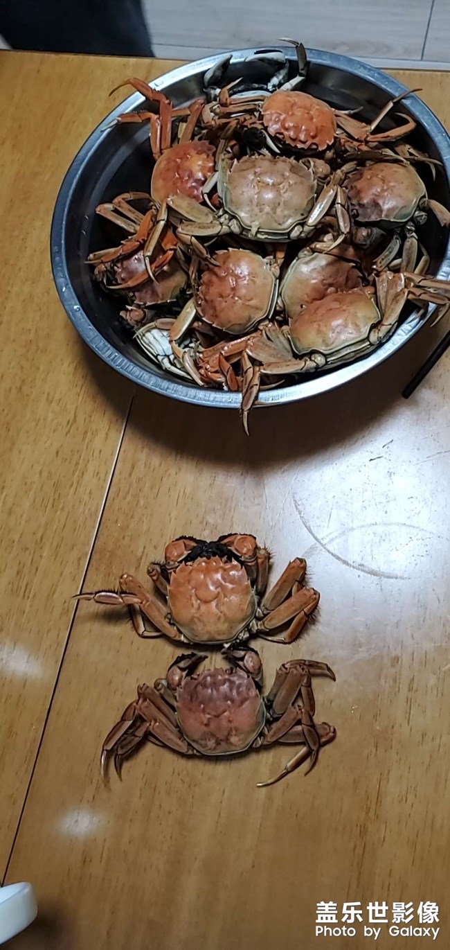 東北人家的美食