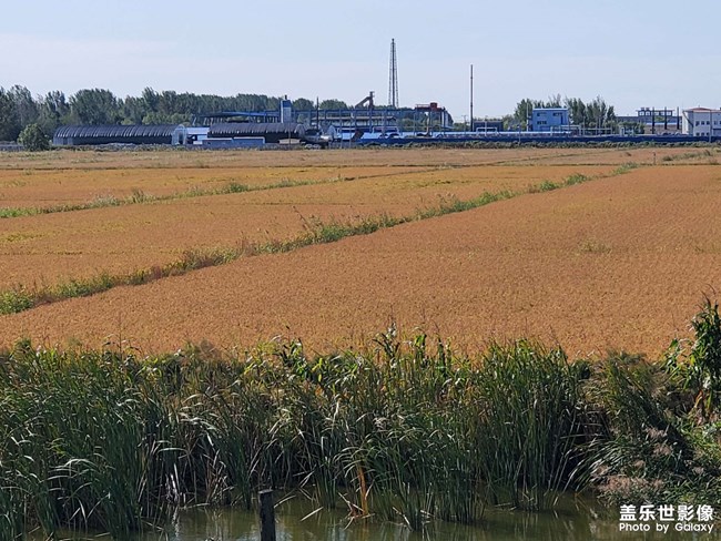 東北人家的美食