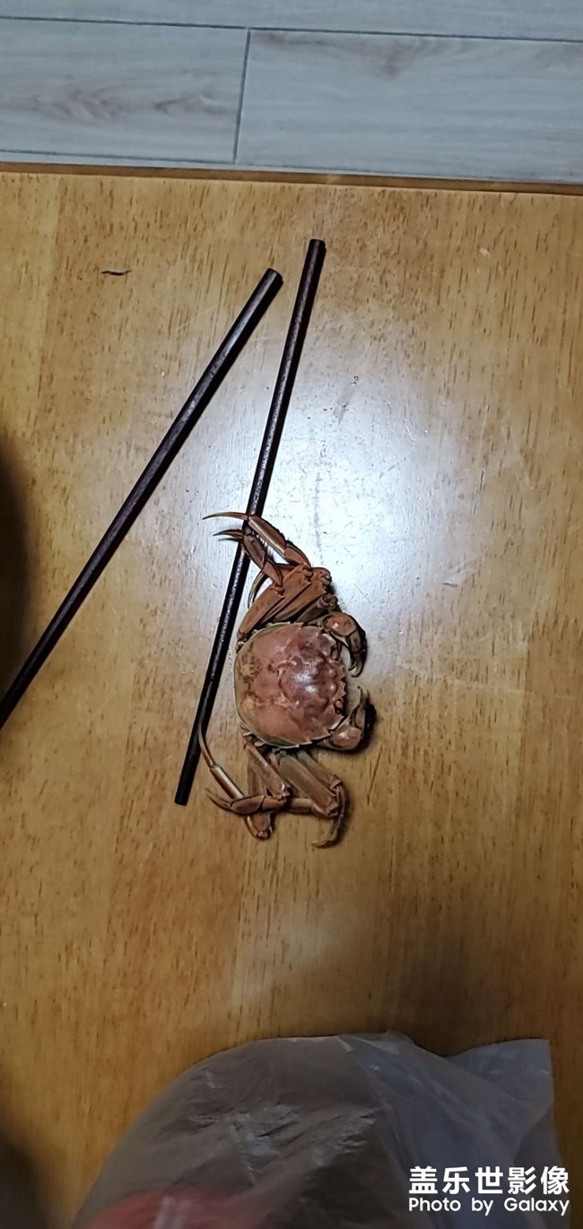 東北人家的美食