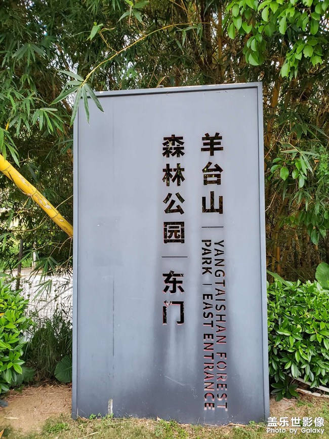 【陽臺上一游】