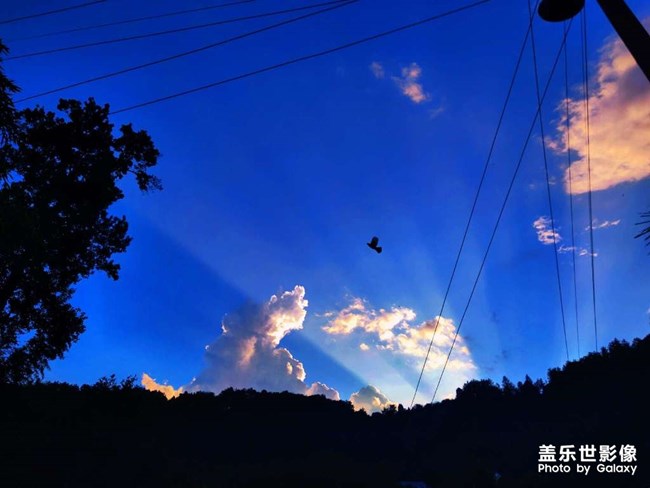 蟬噪林逾靜，鳥鳴山更幽