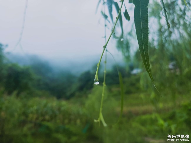 蟬噪林逾靜，鳥鳴山更幽