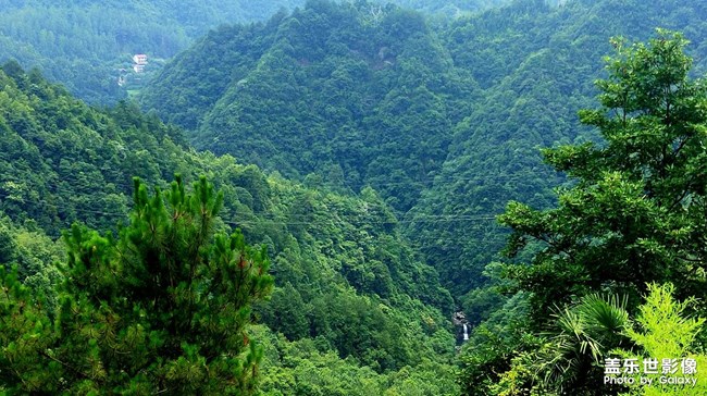 蟬噪林逾靜，鳥鳴山更幽