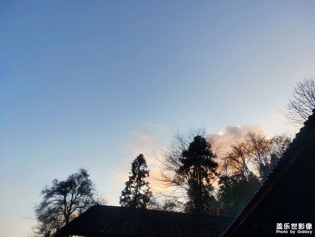 蟬噪林逾靜，鳥鳴山更幽